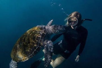 Woman diving with sea turtle