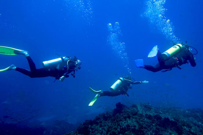 Ssi Instructor Crossover Course Byron Bay Dive Centre