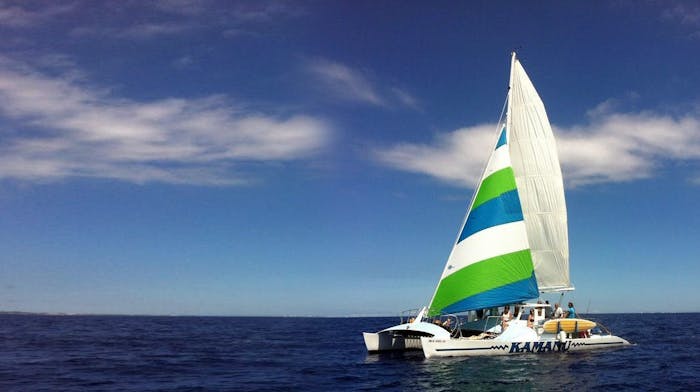 Kamanu Catamaran Tours | Kamanu Charters In Kona, Hawaii