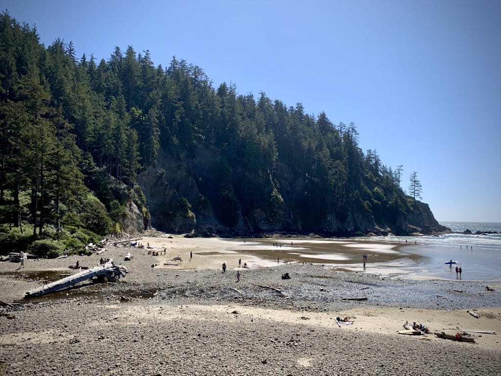 View of beach and sand with trees in background