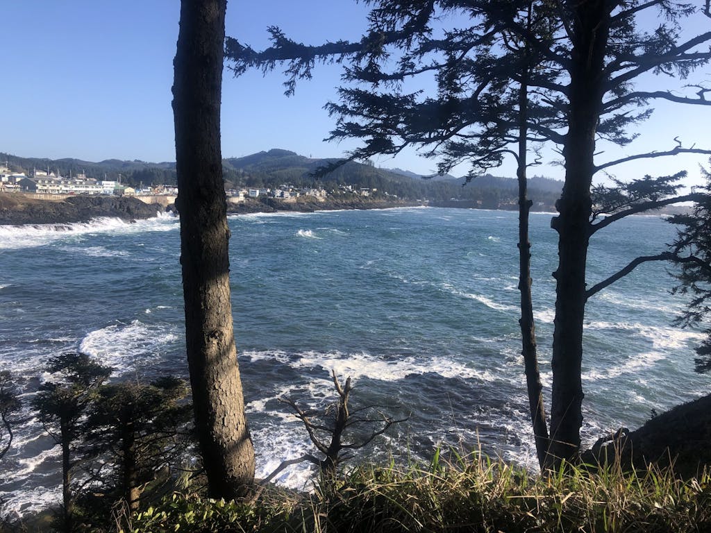 ocean view with trees and waves