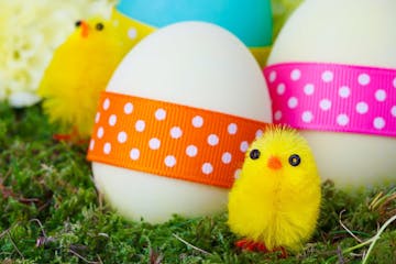 Easter eggs with ribbons with polka dots on the them and little fuzzy decoration chicks on moss