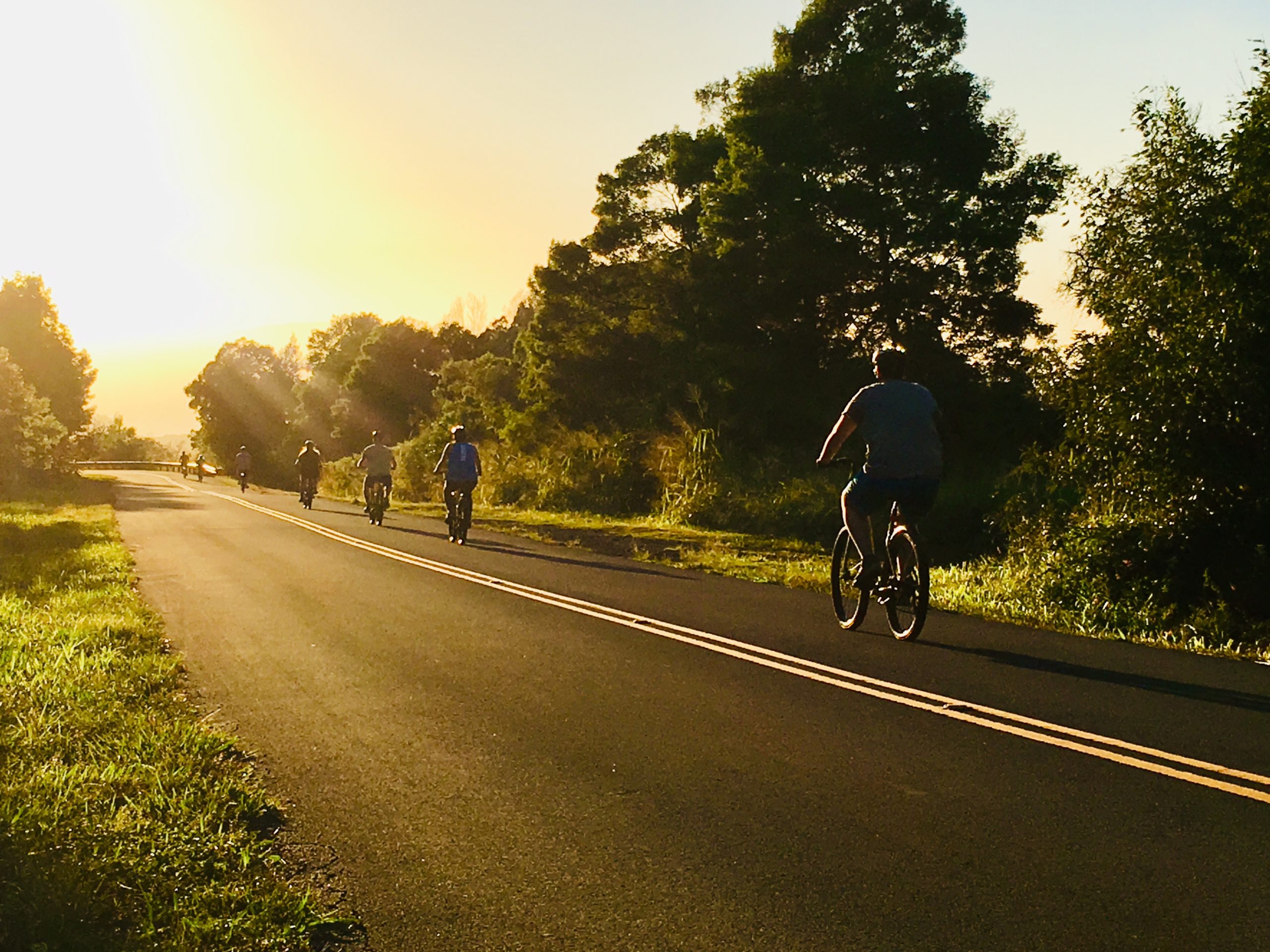 mountainbike radgröße körpergröße