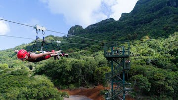 The FlyLine Zipline  Hawaii Adventure Center
