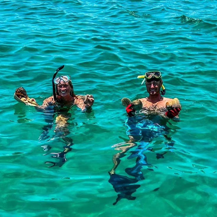 Dolphin and Snorkel Tours | Panama City Beach | About us