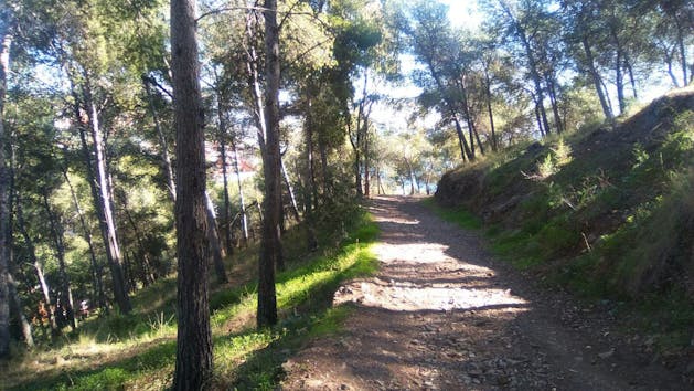 Malaga Natural Park 15km