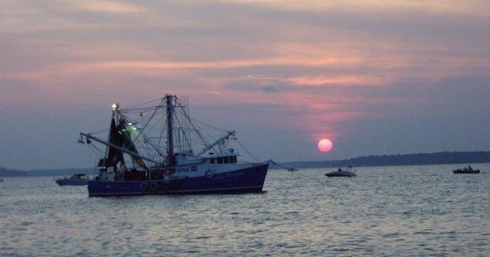 4.5 Hour Night Shark Fishing &amp; Fireworks Capt. Hook Party 