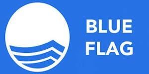 Blue Flag icon