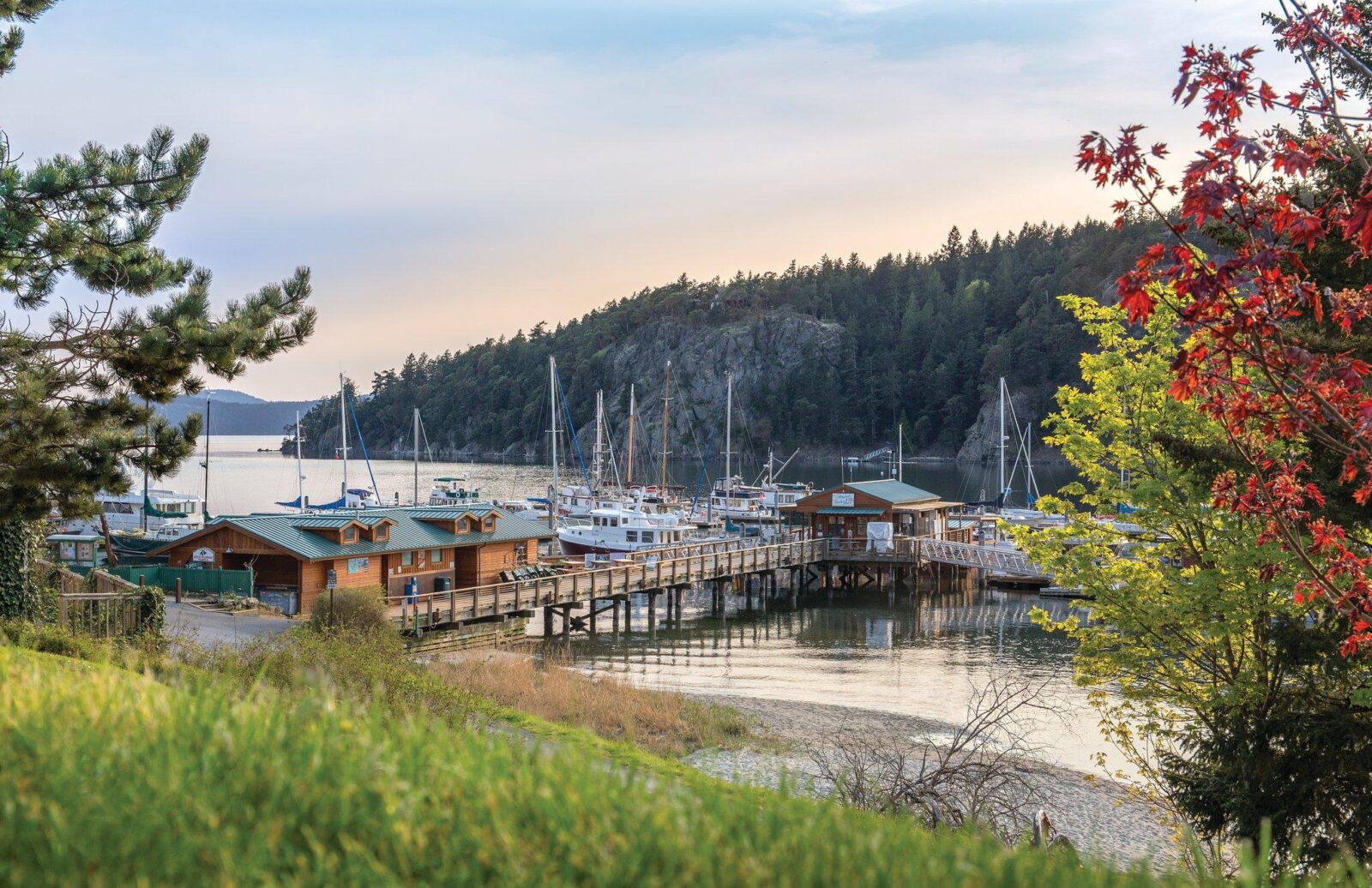 Deer Harbor – Orcas Island | Shearwater Adventures