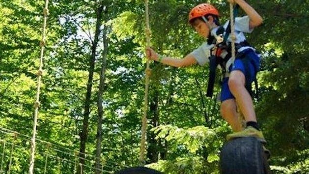 Boy on Junior Canopy Challenge Course