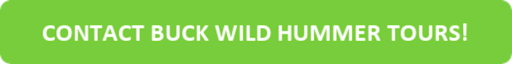 Button to Contact Buck Wild Hummer Tours
