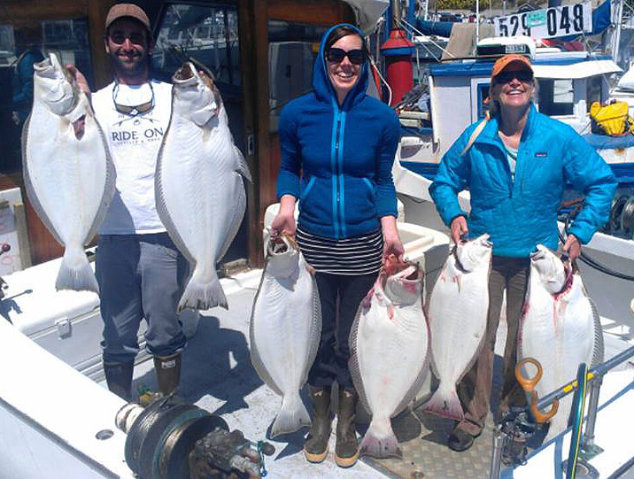 Live Bait Lingcod Halibut Seabass Charters Santa Cruz Ca