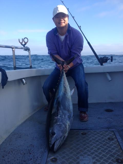 Long Bluefin