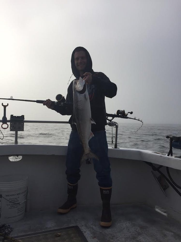 Lots Of Bait, Birds And Whales But Slow Bite On Salmon..