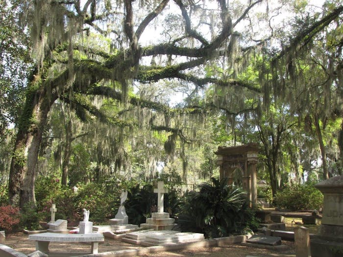 can you tour bonaventure cemetery on your own