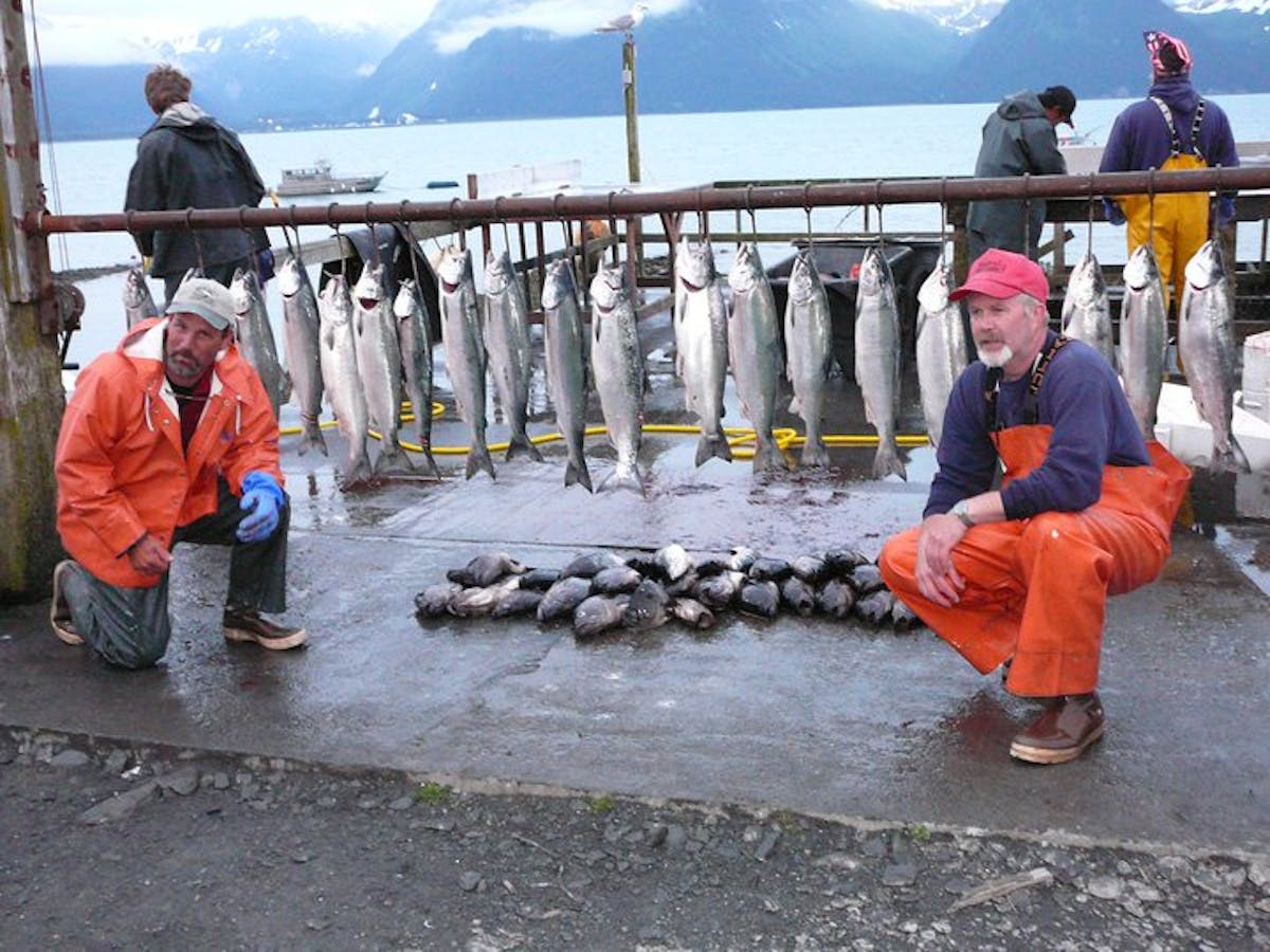 Half Day Silver Salmon & Black Bass Fishing Charter