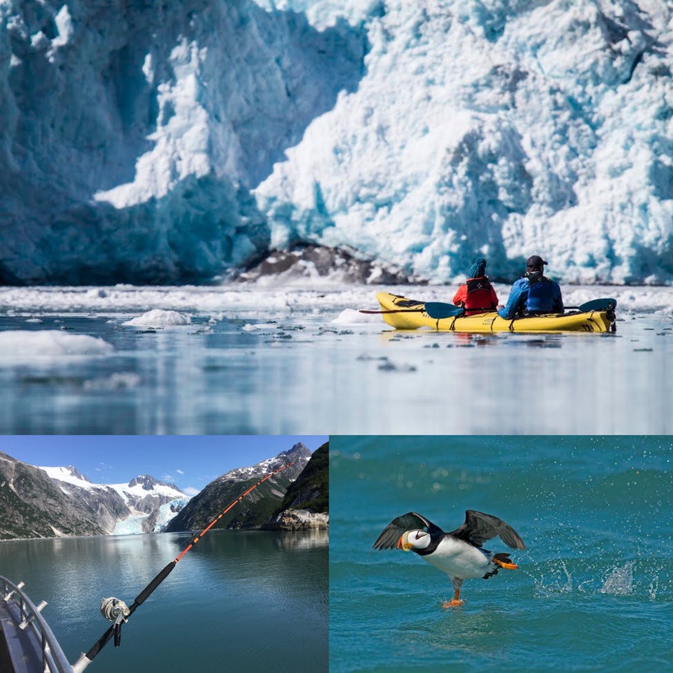 Fish, Kayak, and Sight See Glaciers - Best of Alaska out of Seward, AK Tour at Miller's Landing
