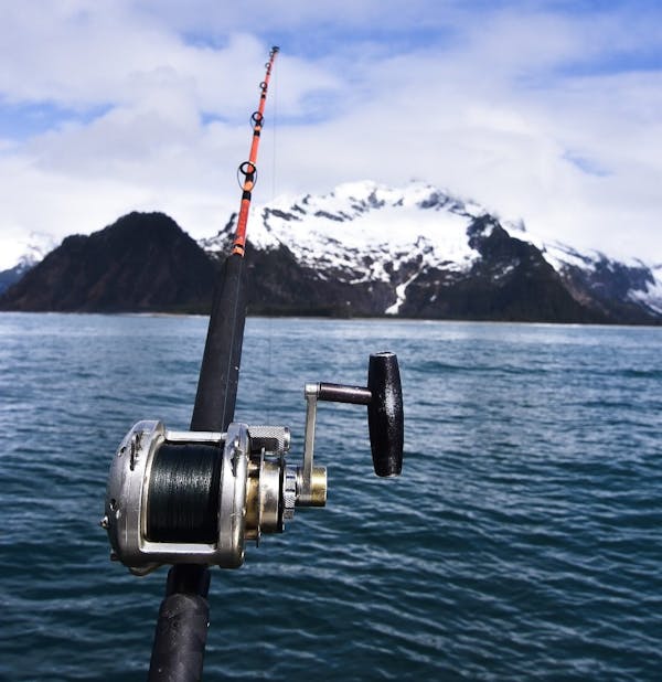 Vintage deep sea fishing rods & reels for Sale in OR, US - OfferUp