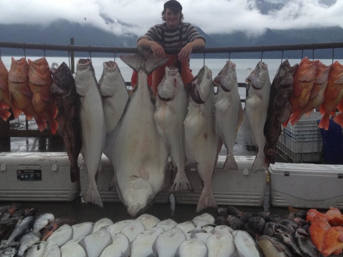 Halibut, Salmon, Ling Cod, and Rockfish Combo Fishing Charter in Seward, AK