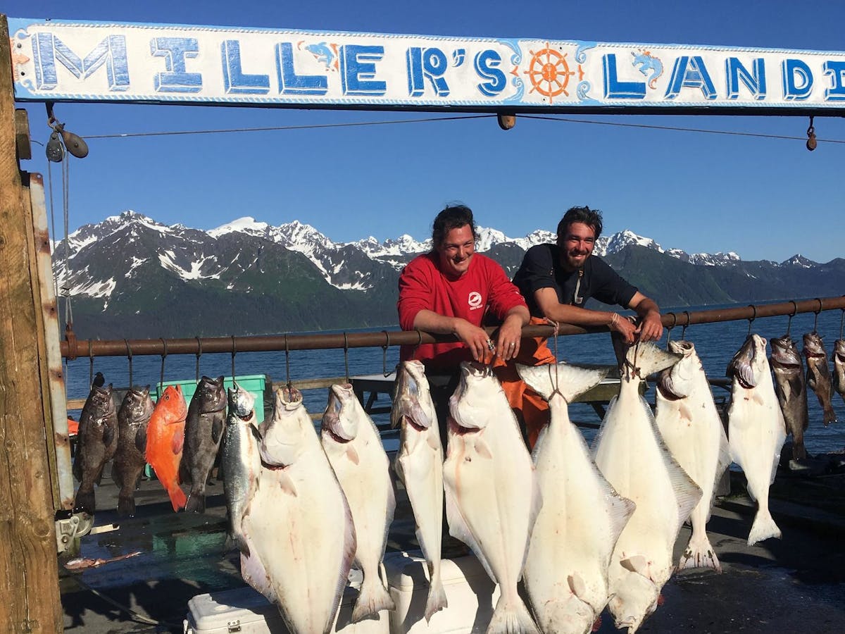 Halibut, Salmon, Ling Cod, and Rockfish Combo Fishing Charter in Seward, AK