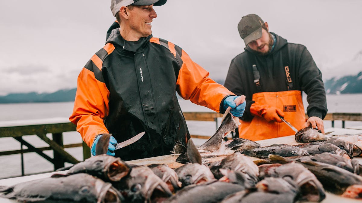 Silver Salmon & Black Bass Fishing in Seward, AK