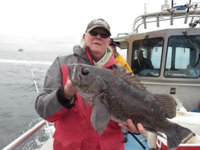 Silver Salmon & Black Bass Half Day Fishing Charter in Seward, AK