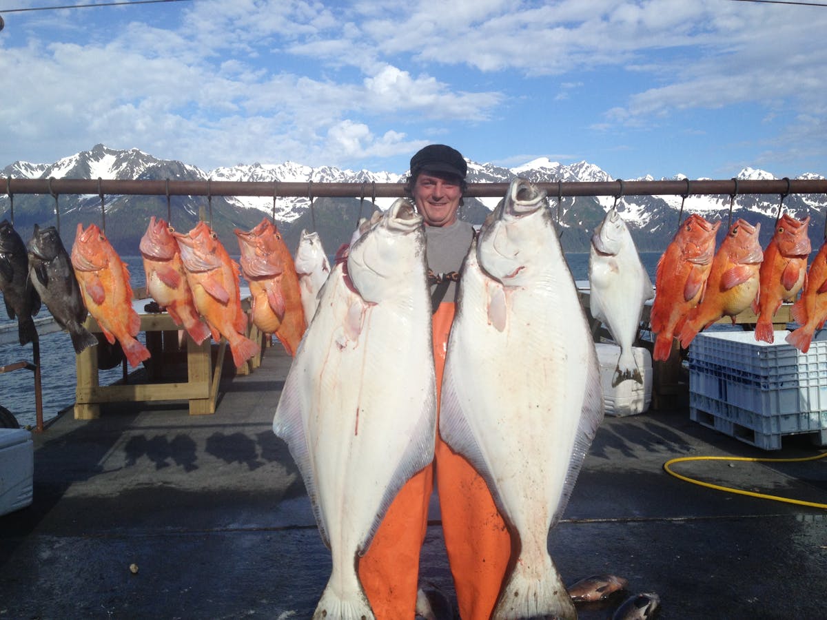 Large halibut in Seward Alaska