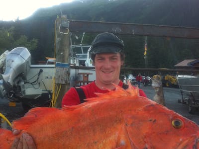 Rockfish in Seward Alaska