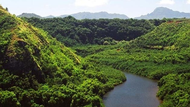a river with a lush green hillside