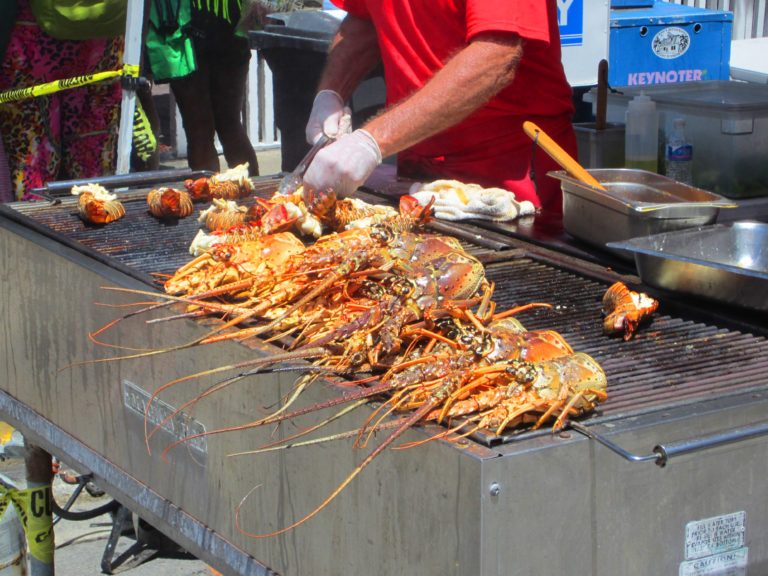 Lobster MiniSeason 2021! Key West Food Tours