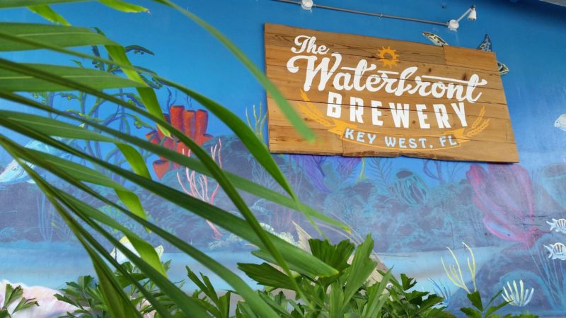 front entrance view of underwater scene mural and wooden welcome sign