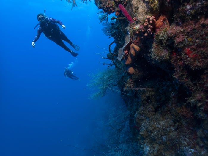 Reef Dive La Parguera | Paradise Scuba & Snorkeling Center