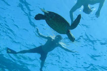 A guy swimming with a green turtle