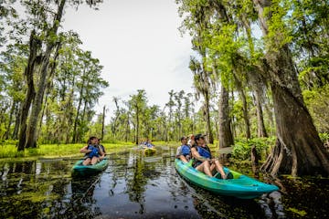 kayakers in a swamp