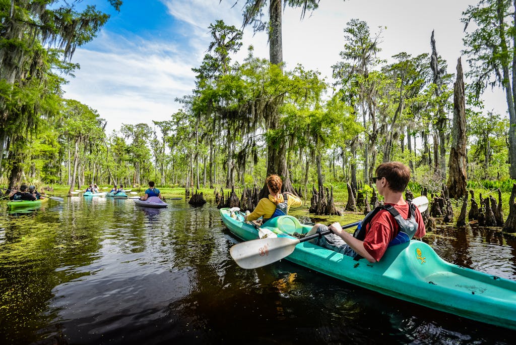 Swamp Kayaking Tours