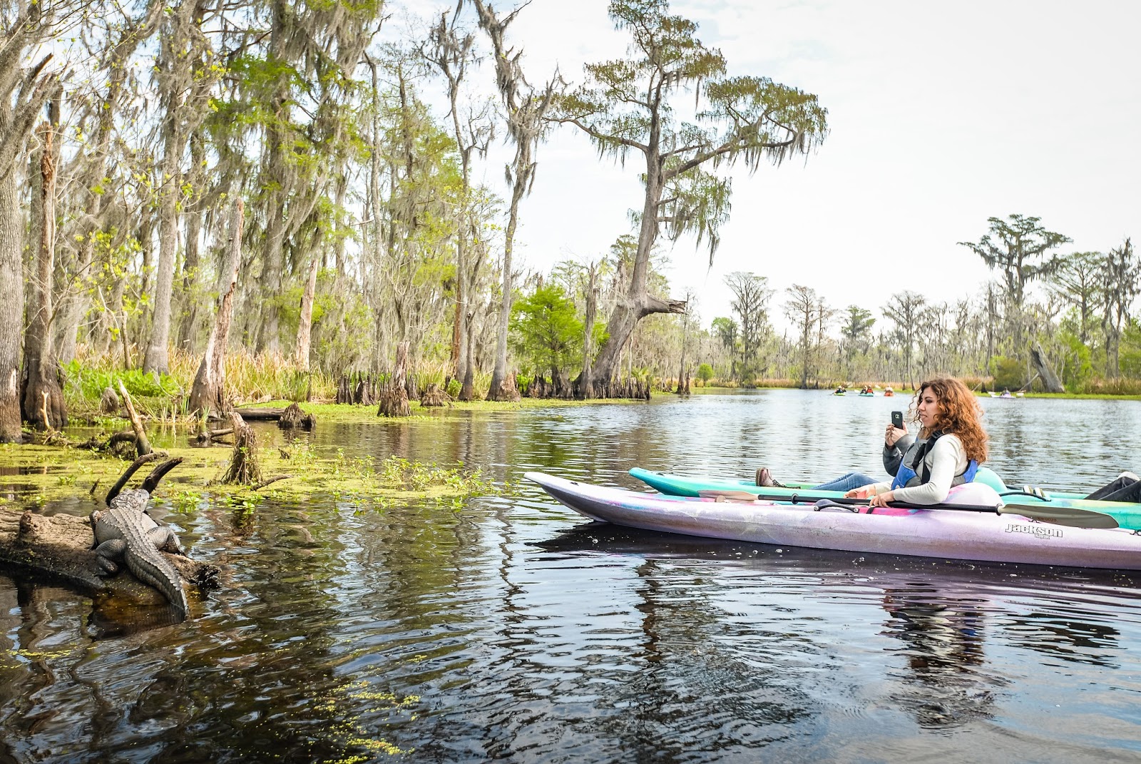 A woman taking a picture of an alligator from her kayak.