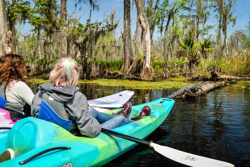 A group of two women watching an alligator from their kayaks in New Orleans.