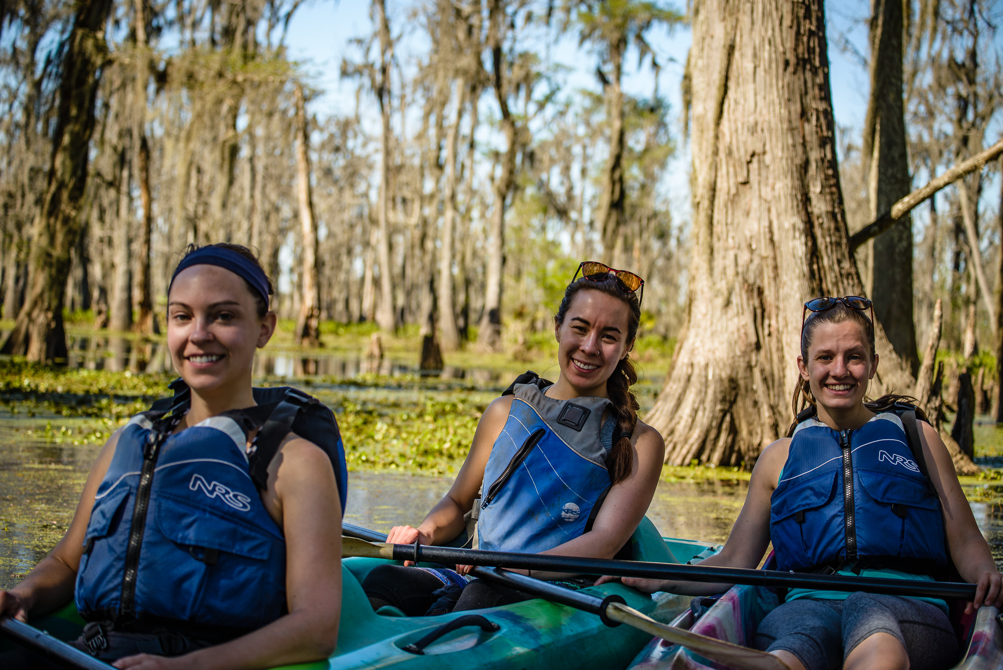 kayak kayak tour swamp swamp tour