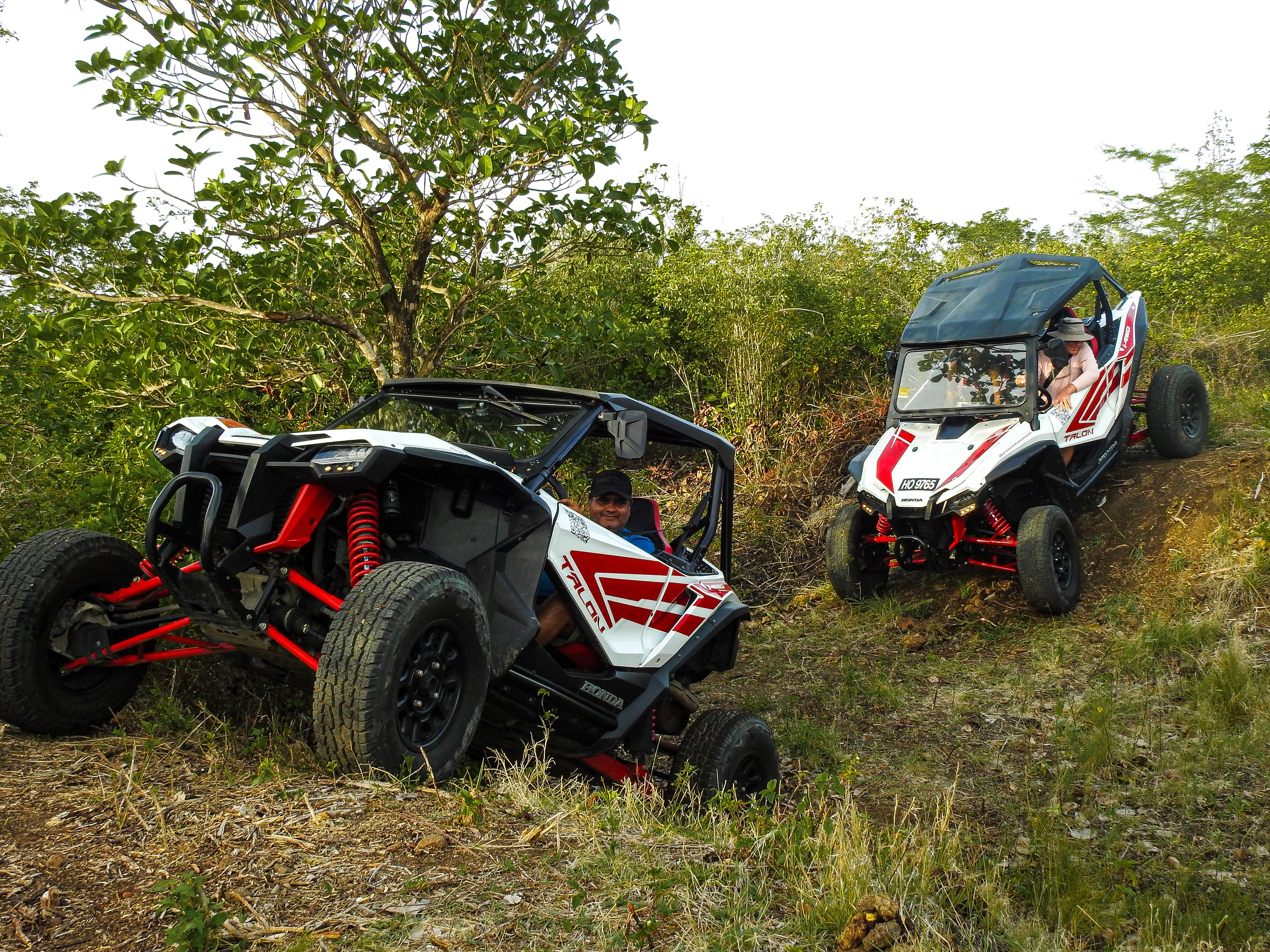 Horse and Buggy | Adventure Tours St. Lucia