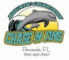 Chase-n-Fins
