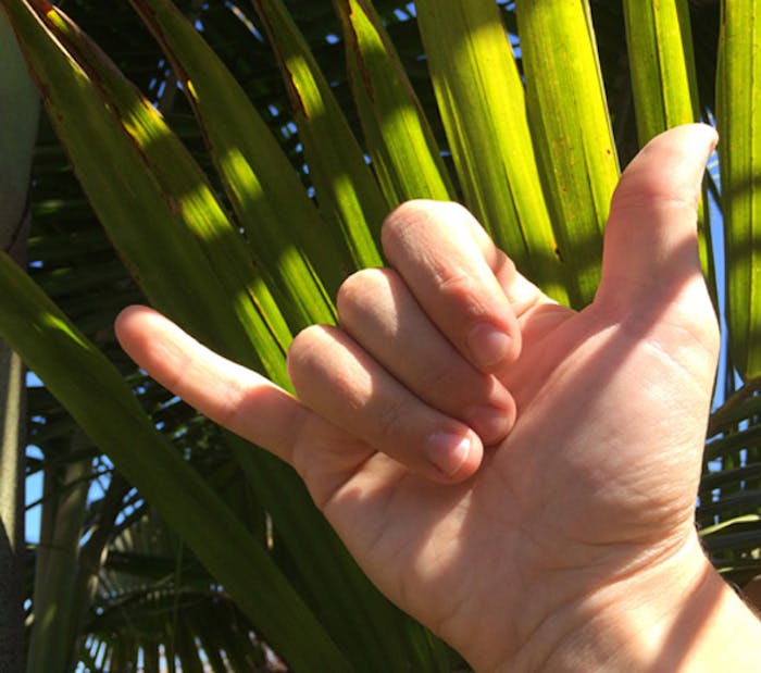 Shaking it Up with Hawaii's Shaka Sign