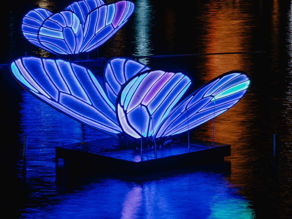 butterfly during the Amsterdam Light festival