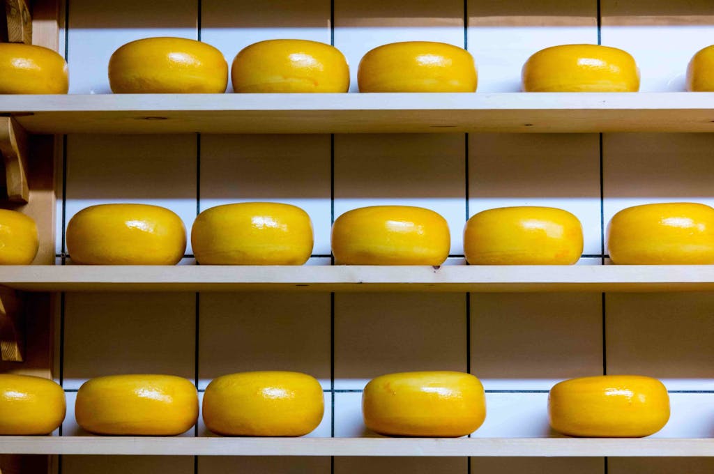 Verschillende soorten authentieke kazen in amsterdam bij een kaasproeverij