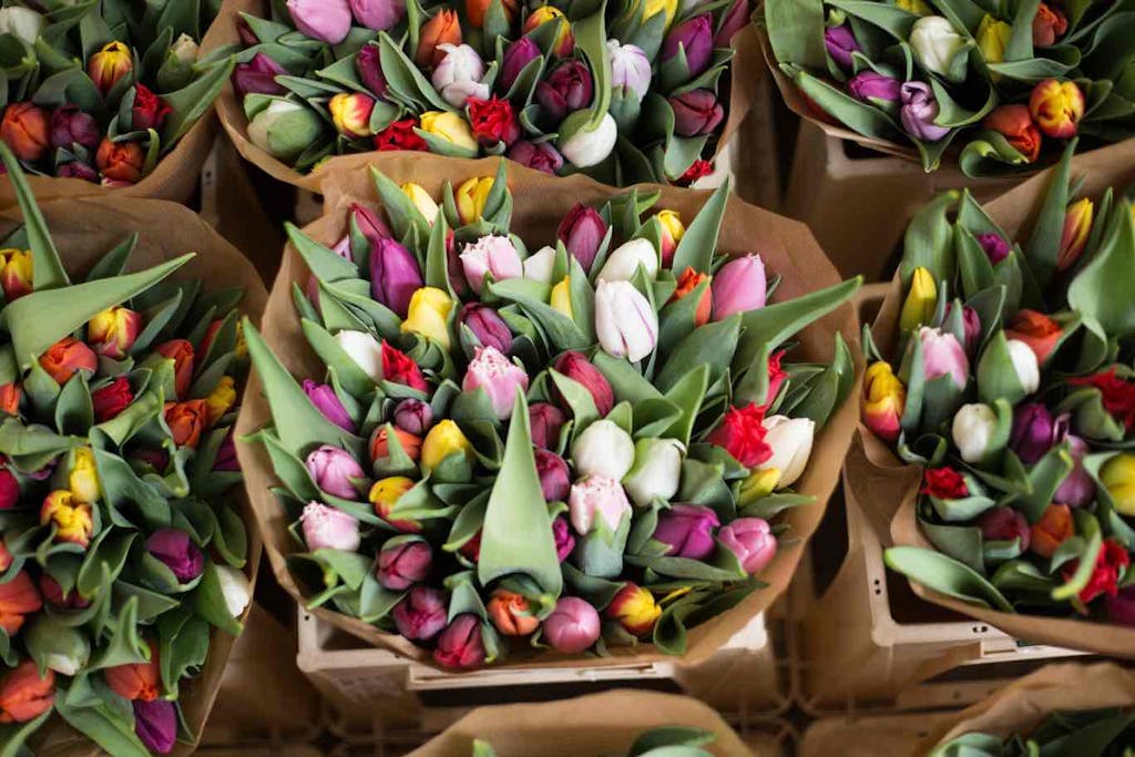 Various tulips at the famous flower market in Amsterdam