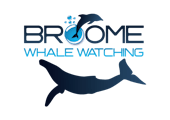 Broome Whale Watching | Sightseeing tours in Western Australia