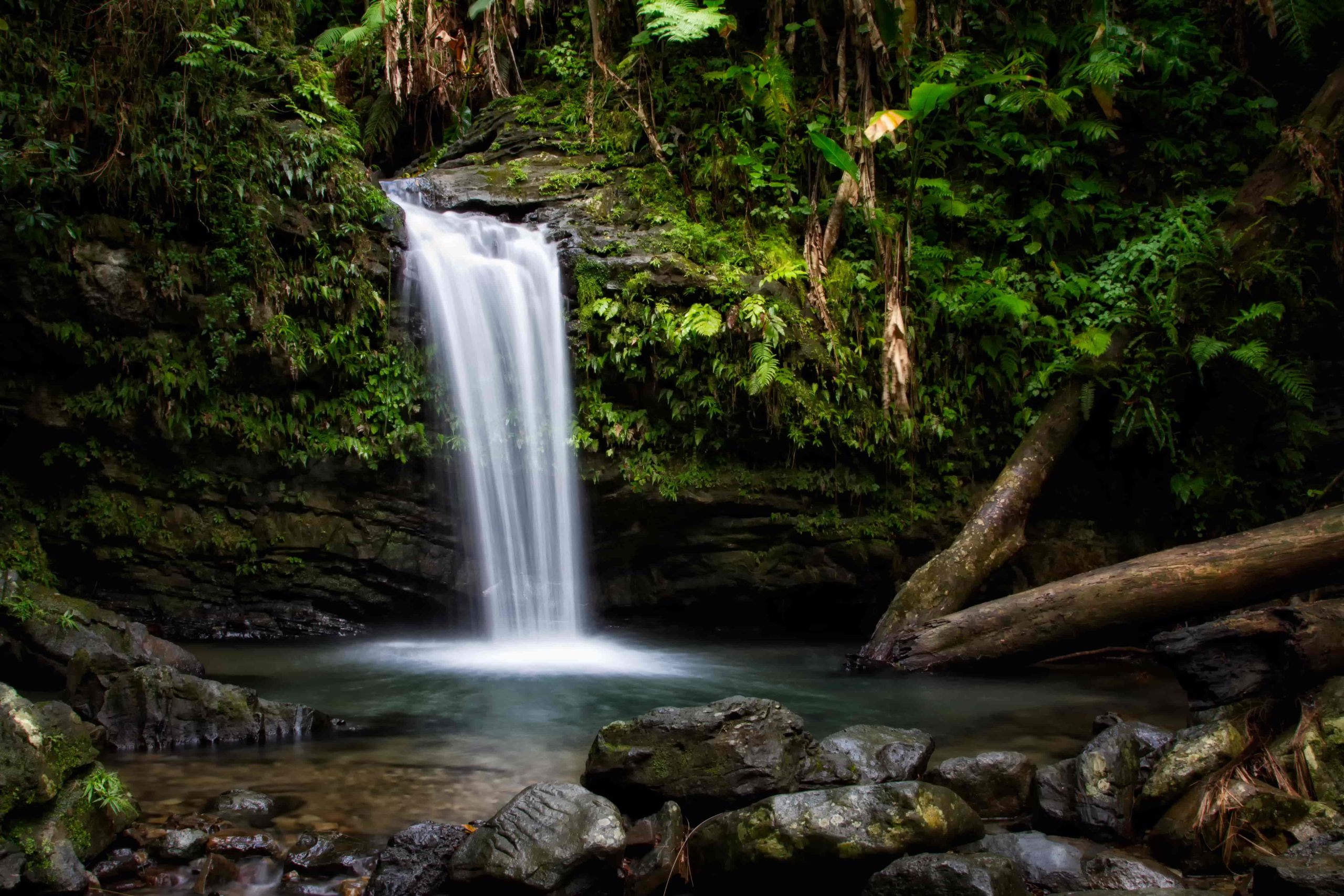 10 Most Epic Waterfalls in Puerto Rico to Visit from San Juan