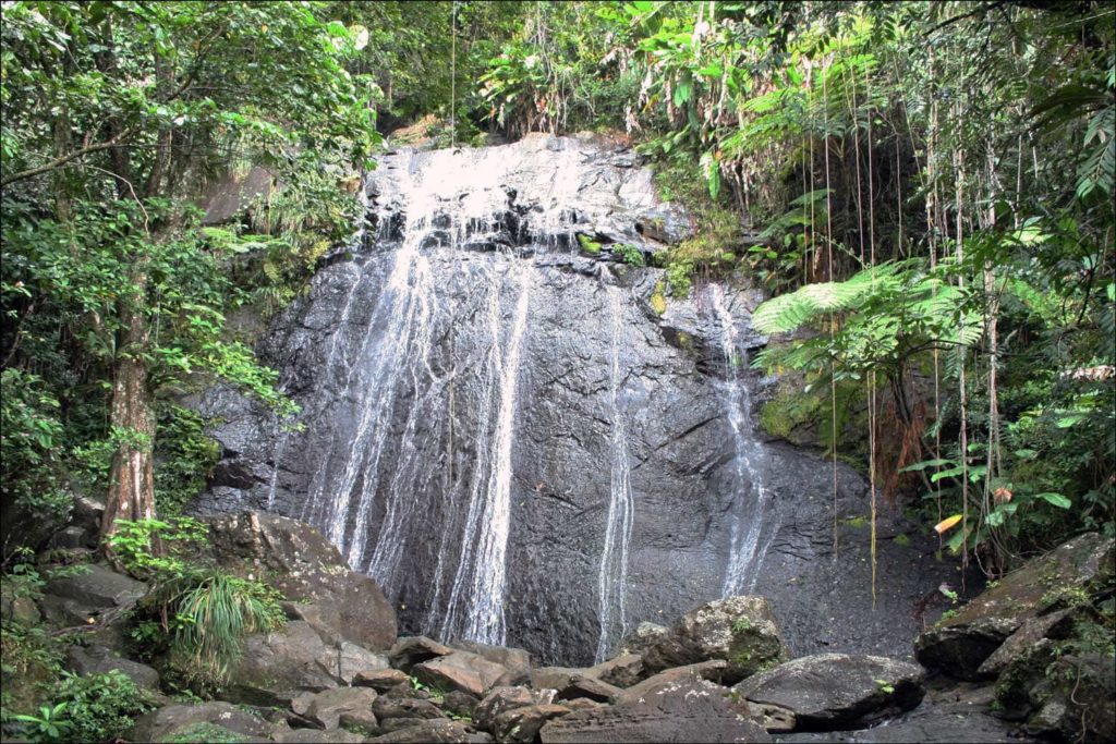 10 Most Epic Waterfalls in Puerto Rico to Visit from San Juan