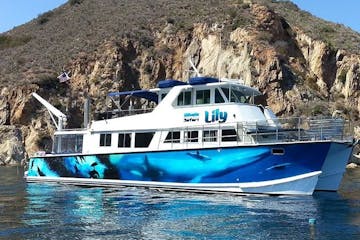 Catalina Island Cruise Safari
