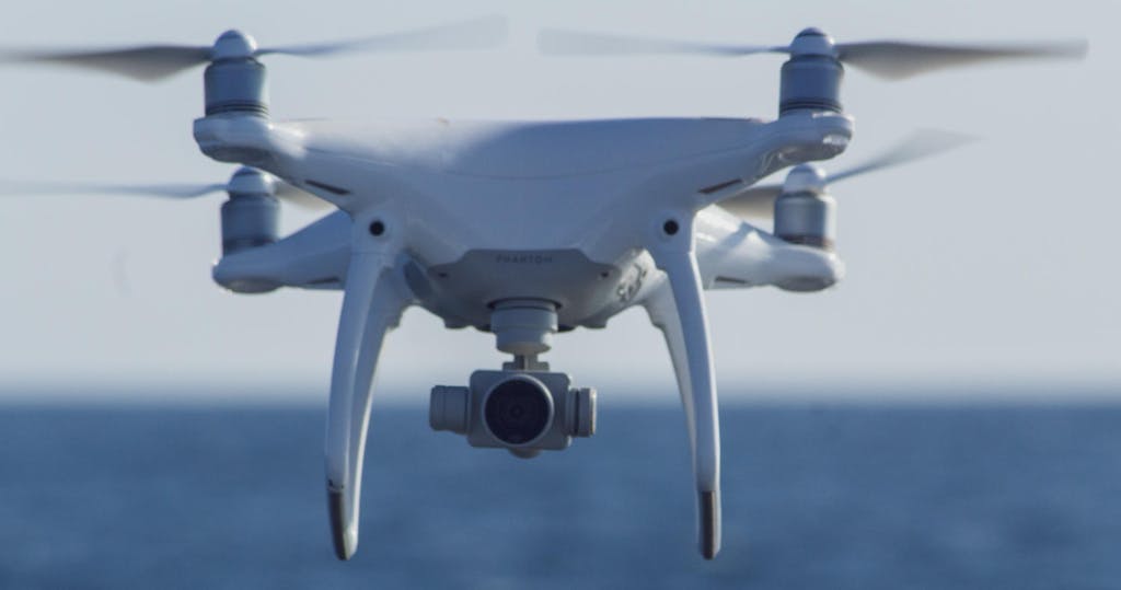 Drone safari, hovering drone