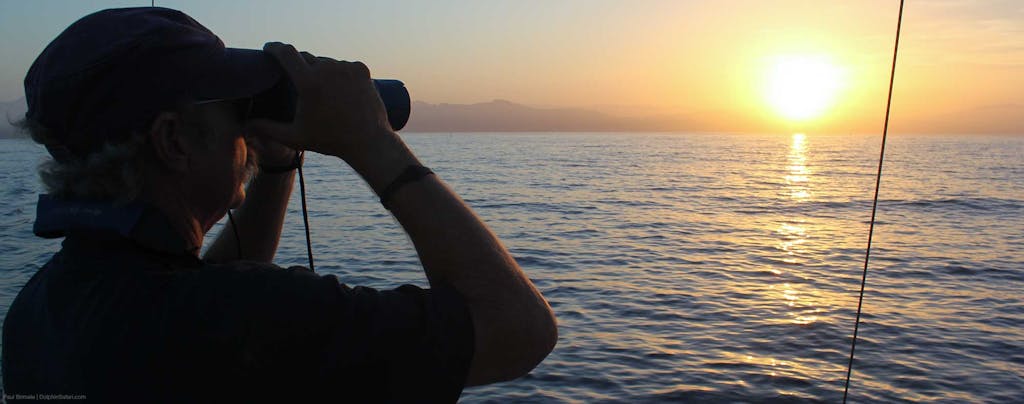 Man looking for whales with binoculars